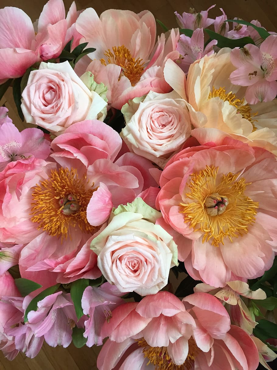 flower, flora, floral, petal, bouquet, flowering plant, beauty in nature HD wallpaper