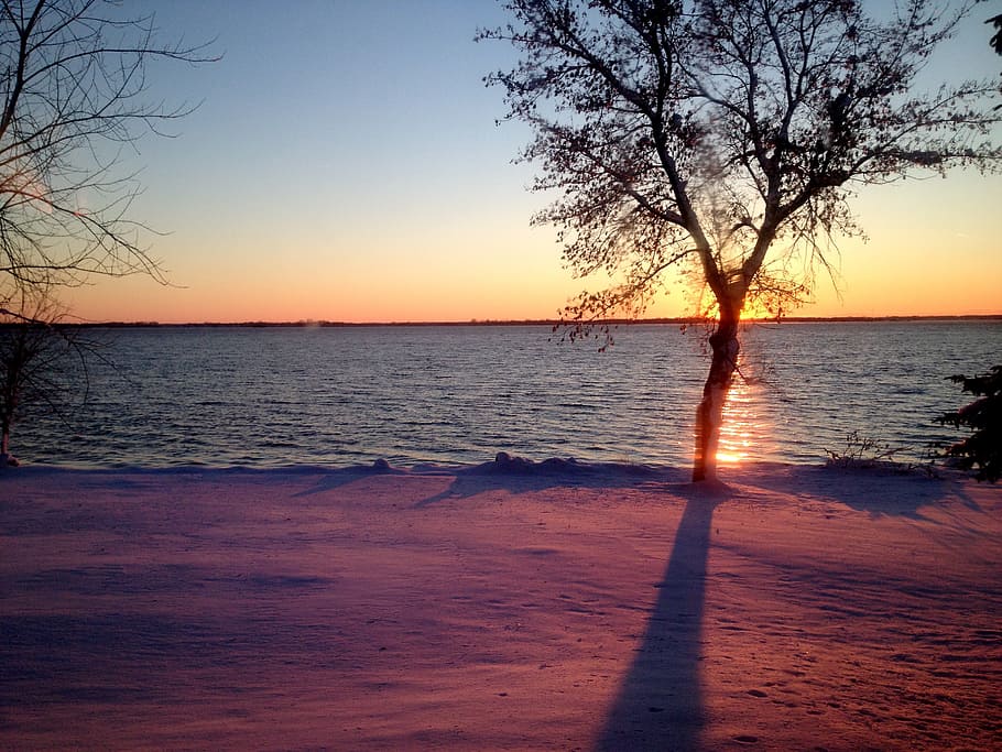 sunset, lake, winter, water, sky, sea, tree, tranquility, beauty in nature HD wallpaper