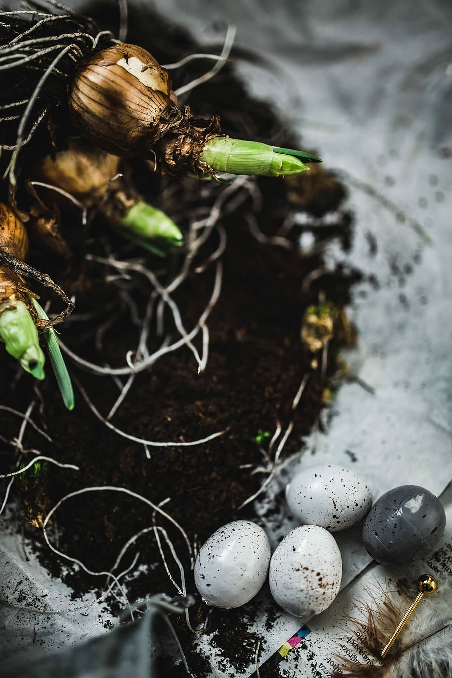 Woman planting seedlings on a newspaper covered table with quail eggs, HD wallpaper