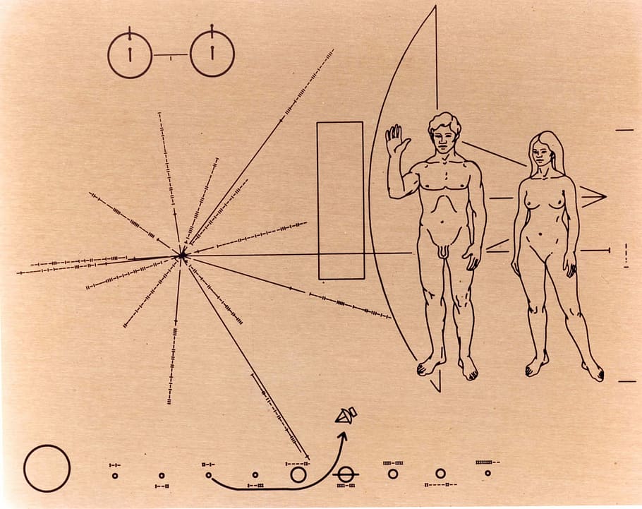 Human body parts illustration, pioneer badge, pioneer 10, space probe