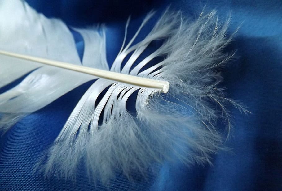 Snowflake, Macro, White, Down, to, blue, studio shot, no people HD wallpaper
