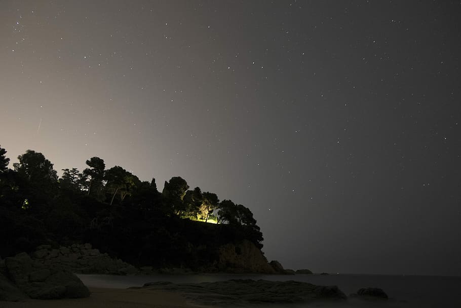 silhouette photograph of trees under starry night sky, silhouette of trees and ocean water during nigghttime HD wallpaper
