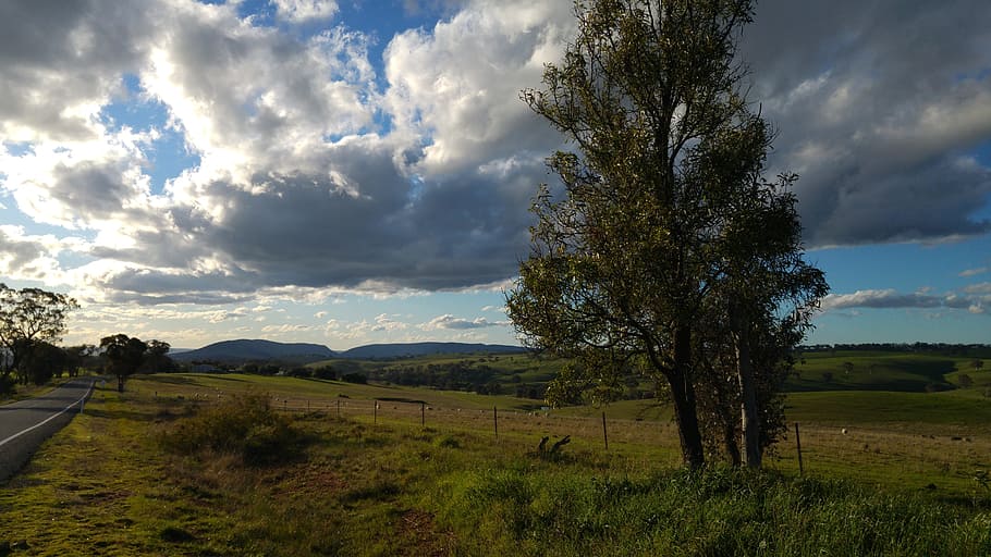 Clouds, Countryside, Rural, landscape, nature, tree, scenics HD wallpaper