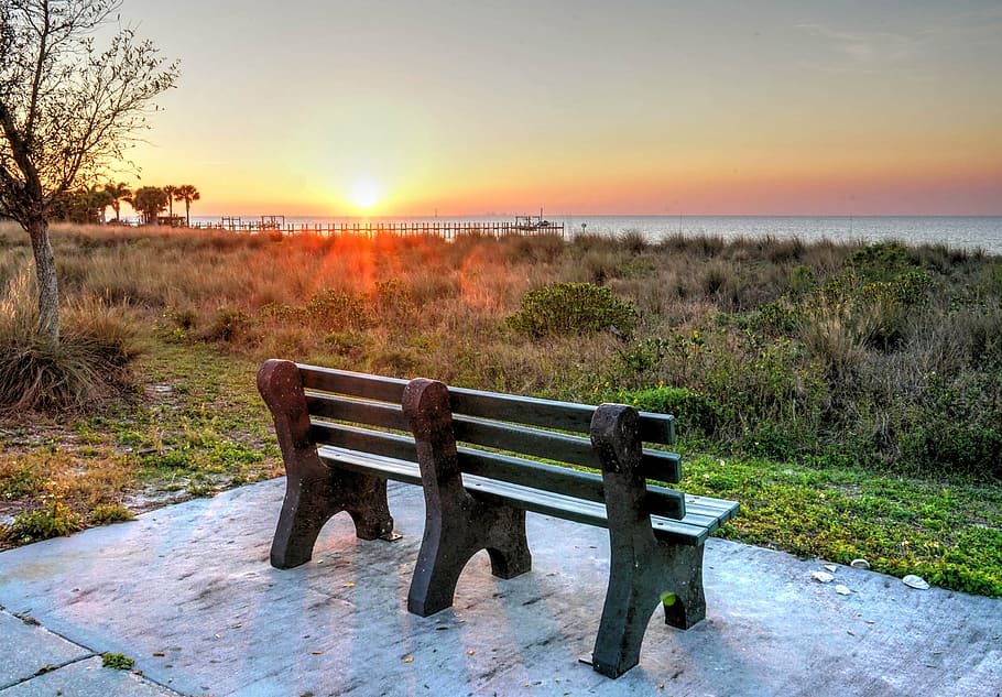 brown wooden bench, sunset, tropical, sky, palm, coast, paradise HD wallpaper