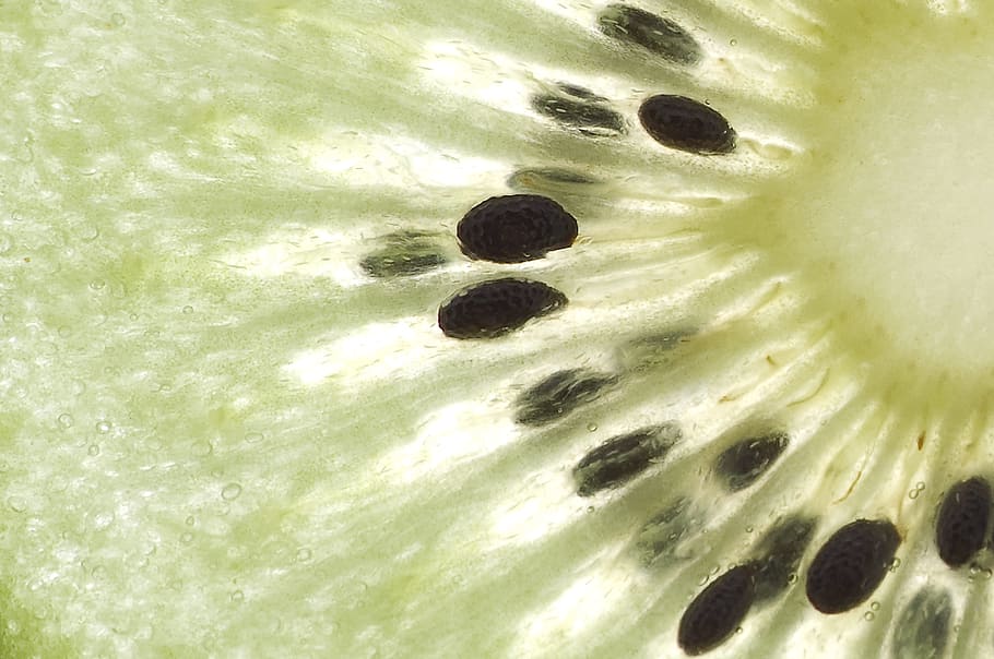 fruit, kiwi, macro, no people, close-up, nature, full frame HD wallpaper