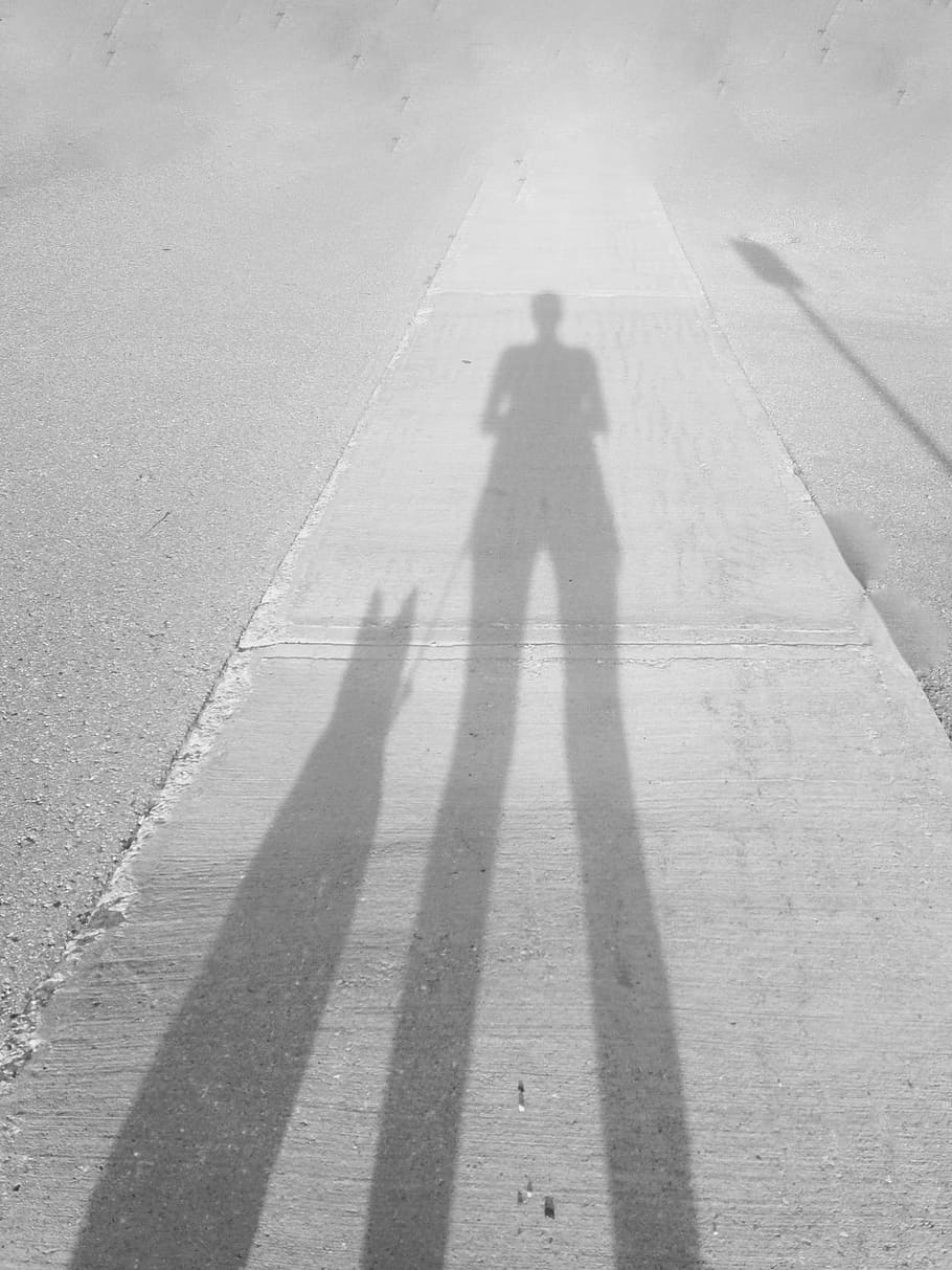 Human, Dog, Sidewalk, Black, White, shadow, focus on shadow HD wallpaper