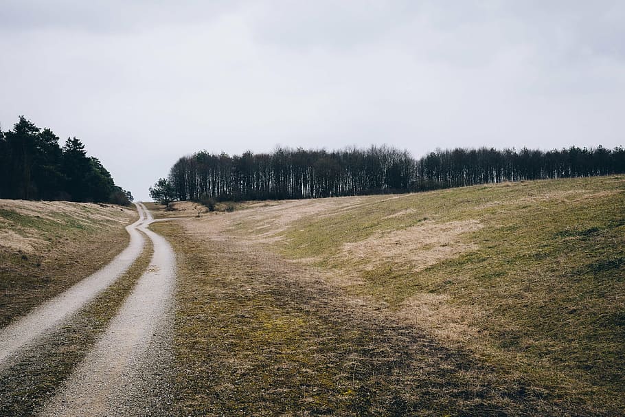road leading to forest, clouds, dirt road, grass, grass field HD wallpaper
