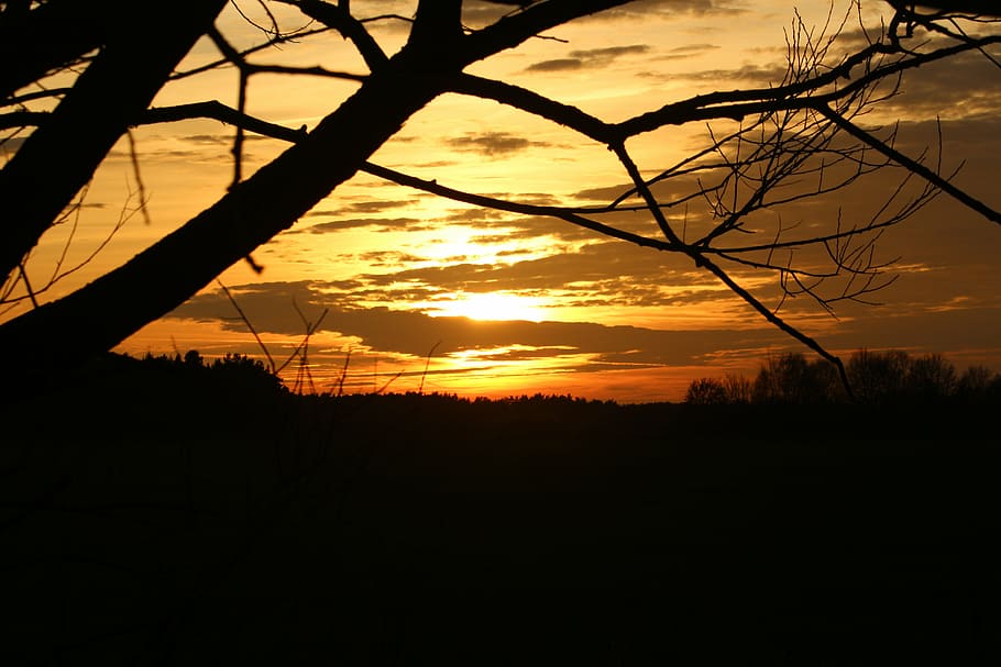 sun, sunset, evening sky, tree, abendstimmung, setting sun HD wallpaper