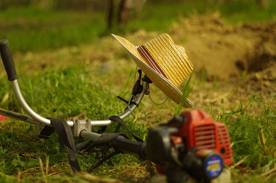 Grass Cutting, Straw Hat, work in the fields, break, basket HD wallpaper