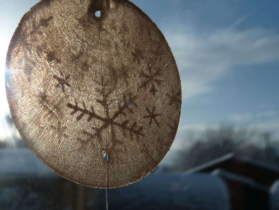 nature, background, winter, snow, focus on foreground, close-up HD wallpaper