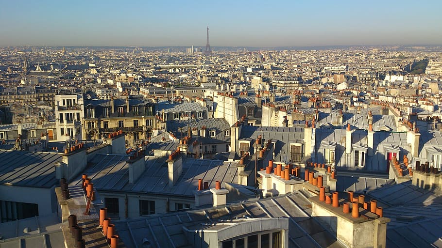 bird eye view of high rise buildings, paris, cityscape, france, HD wallpaper