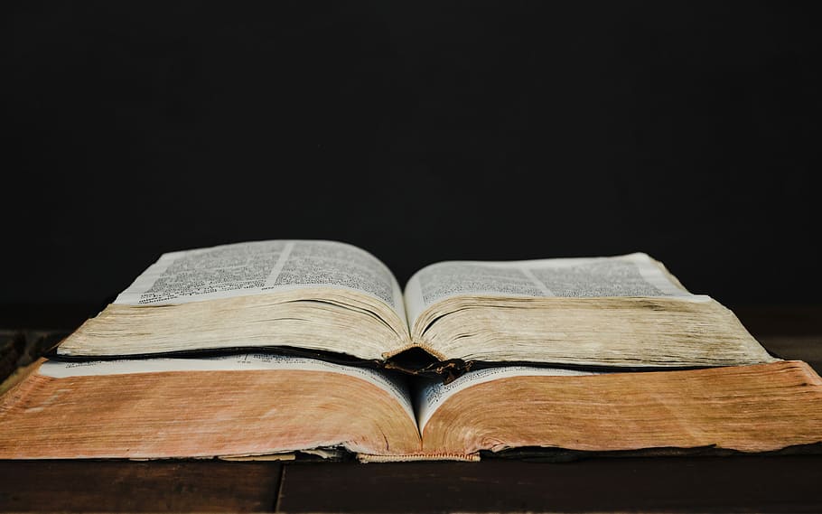 two opened books, two open books, old, reading, page, paper, publication HD wallpaper