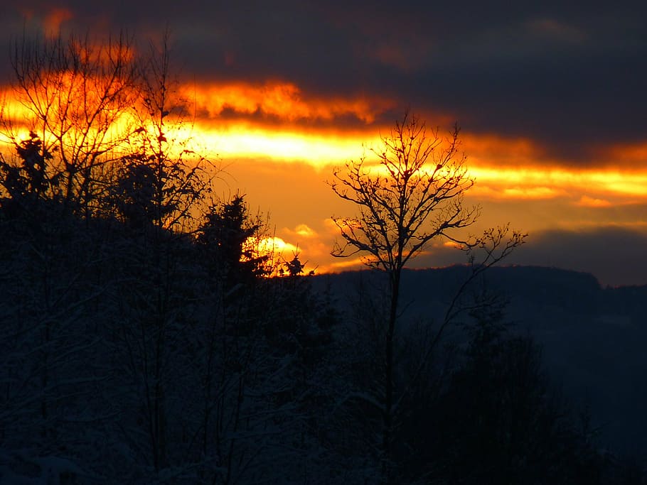sun, sunset, abendstimmung, clouds, sky, romance, tree, silhouette HD wallpaper