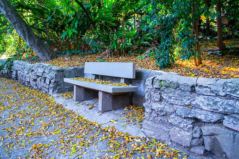 bench, dried leaves, environment, forest, nature, park, rocks HD wallpaper