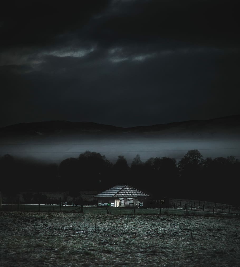 gray wooden house near trees, gray house near forest under cloudy sky HD wallpaper