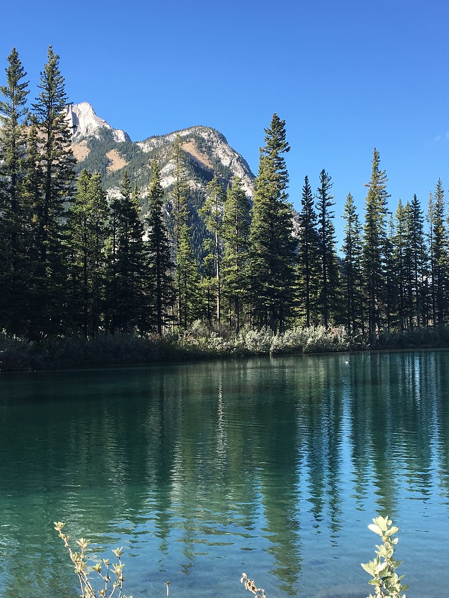 mountains, reflection, water, scenic, tree, beauty in nature HD wallpaper