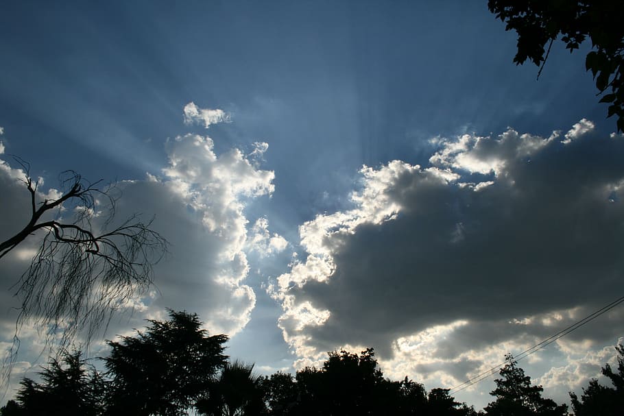 sky, clouds, foliage silhouette, light surrounding clouds, light beams eminating HD wallpaper
