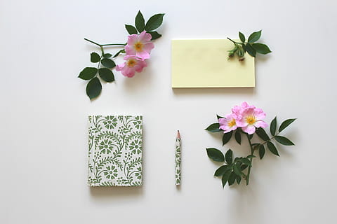 pink petaled flowers near book and pencil, notizbiuch, notes HD wallpaper