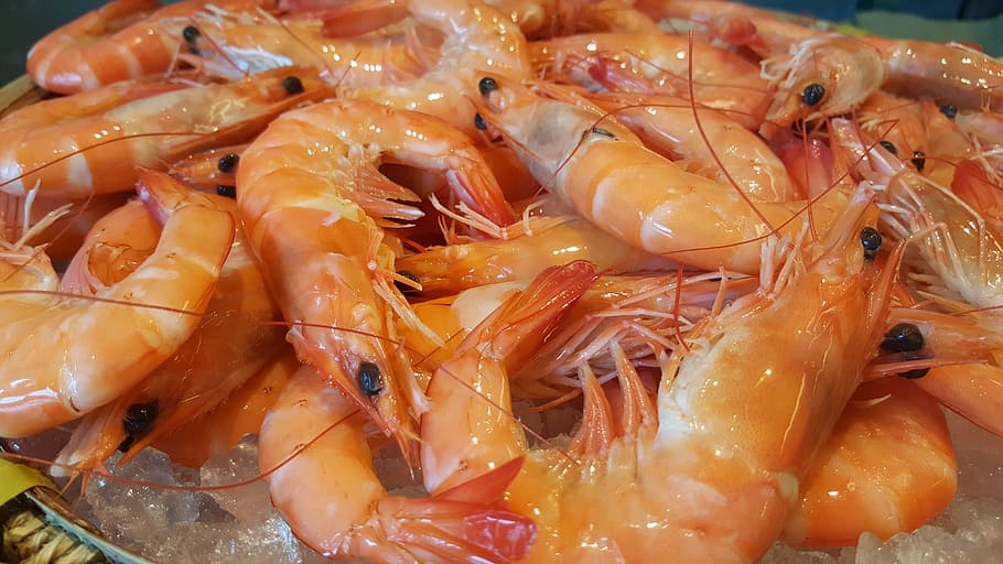 buffet, row, fresh, food, gourmet, snack, party, restaurant HD wallpaper