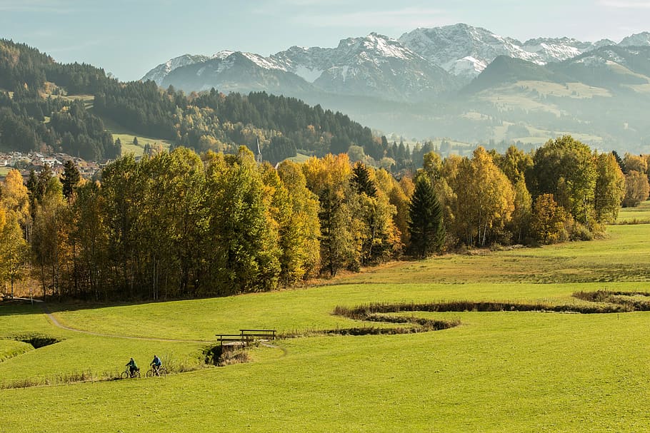 aerial view of green grassland, allgäu, forest, meadow, bach HD wallpaper