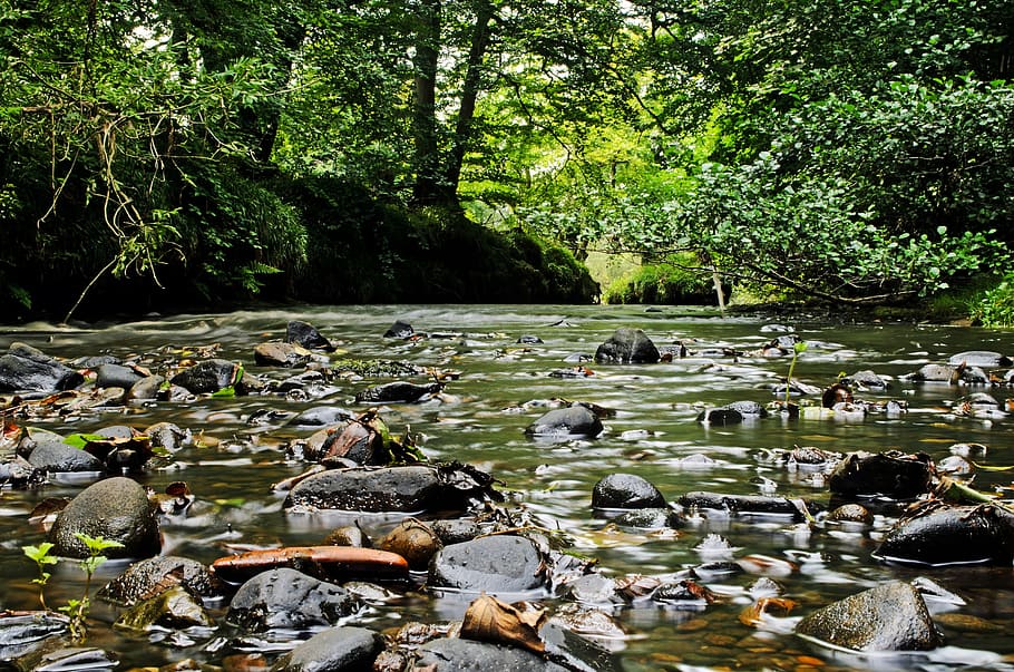 black stones with body of water surrounded by trees during daytime HD wallpaper