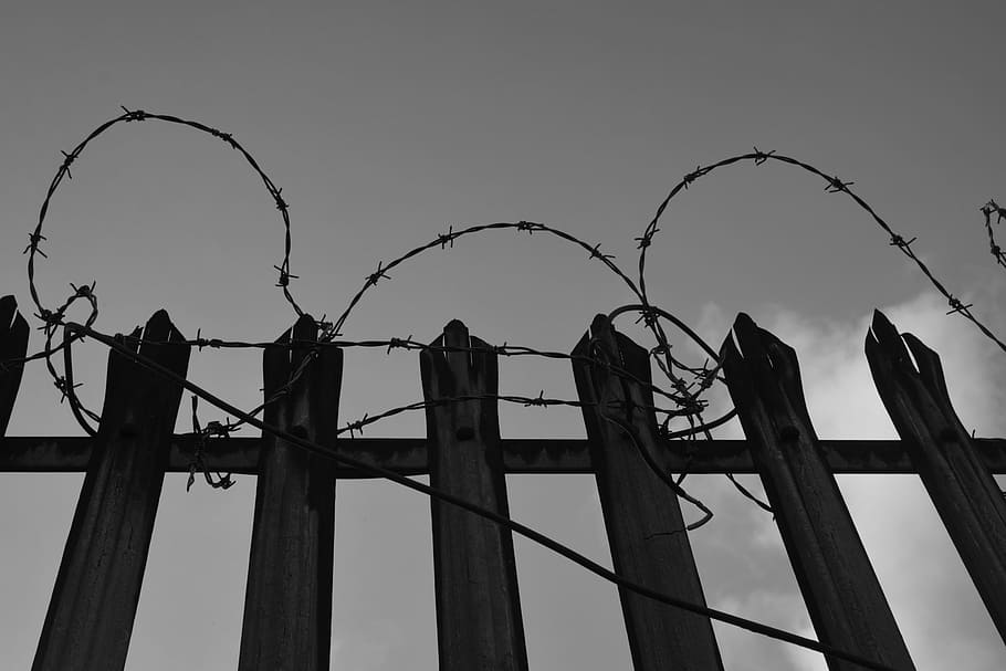 Barbed Wire, Fence, Secretion, razor wire, security, protection HD wallpaper