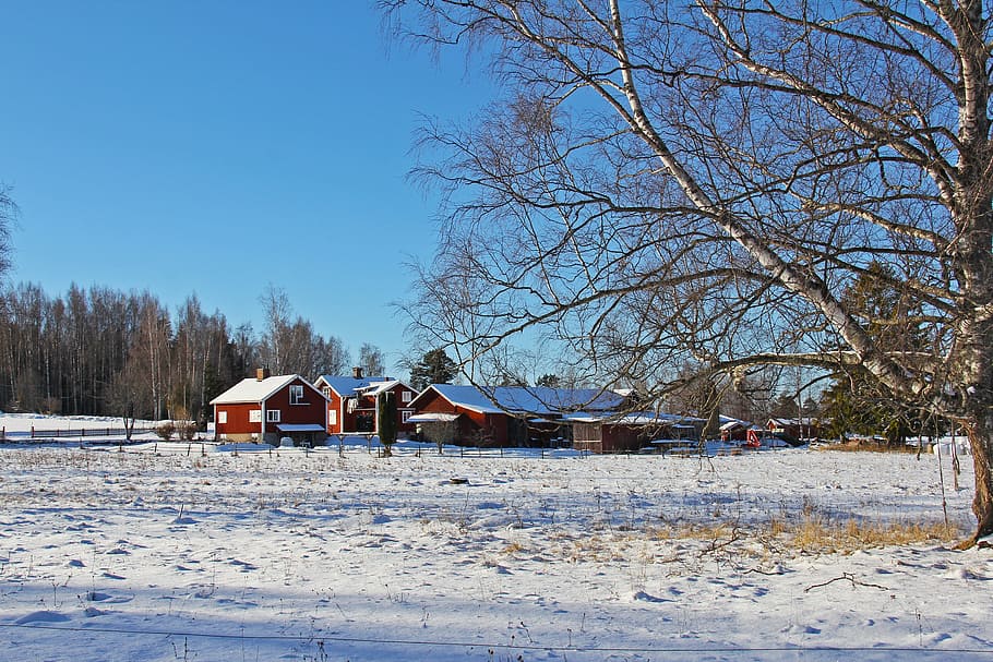 snow, winter, cold, beautiful, red, traditional, wood, cottage HD wallpaper