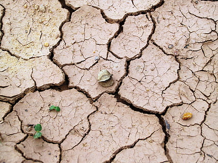 Soil, Rough, Earth, Split, Crack, ecology, summer, broken, texture HD wallpaper