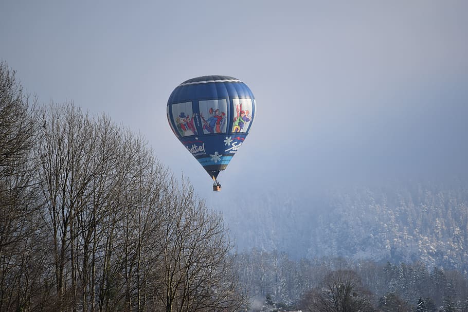 forest, hot air balloon, winter, cold, wintry, snow, frozen HD wallpaper