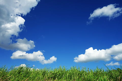 green grass field under blue sky, Clouds, Grass, Blue, above grass HD wallpaper