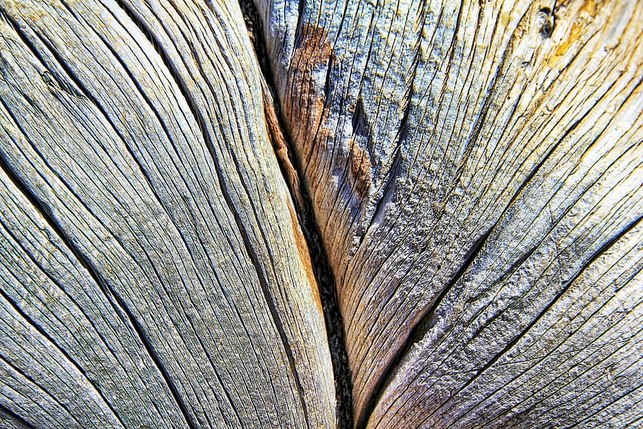 texture, wood, lines, grain, structure, background, pattern HD wallpaper
