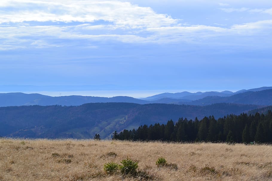 Black Forest, Feldberg, View, Panorama, clouds, blue, nature HD wallpaper