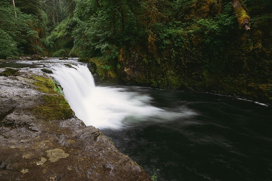 times lapse photography of waterfalls near trees, waterfalls forest HD wallpaper