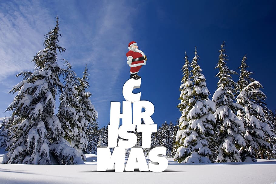 HD wallpaper: Christmas illustration, winter, forest, snow, pine ...