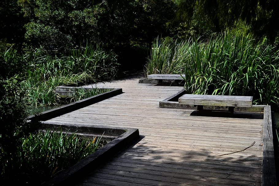 empty brown wooden dock near bushes, herman park, path over creek, HD wallpaper