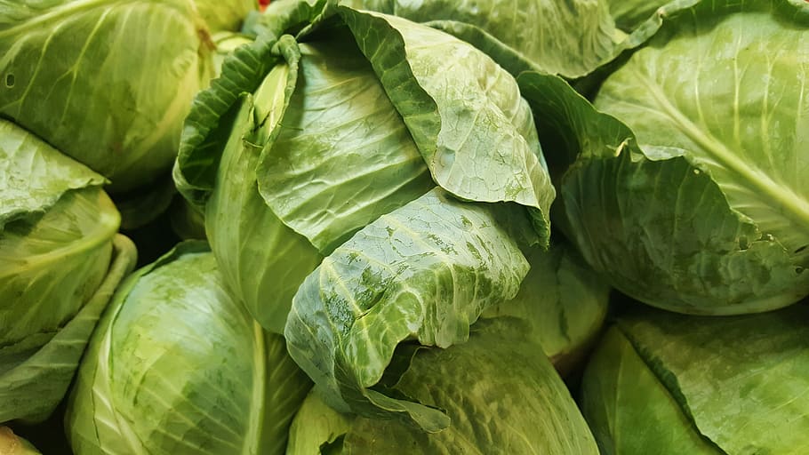 close up photo of green cabbages, leafy, vegetable, food, grocery HD wallpaper