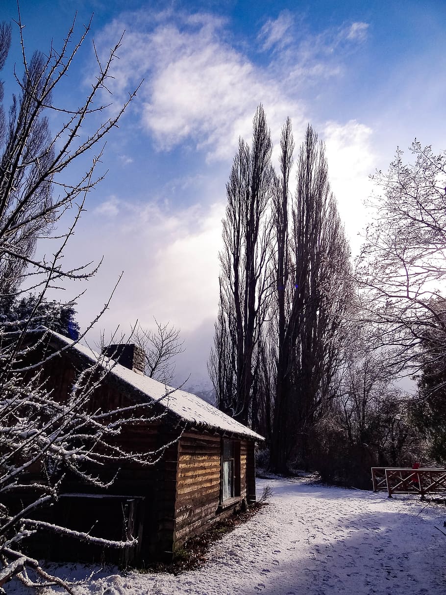 snow, house, winter, landscape, tree, cold, sky, architecture HD wallpaper