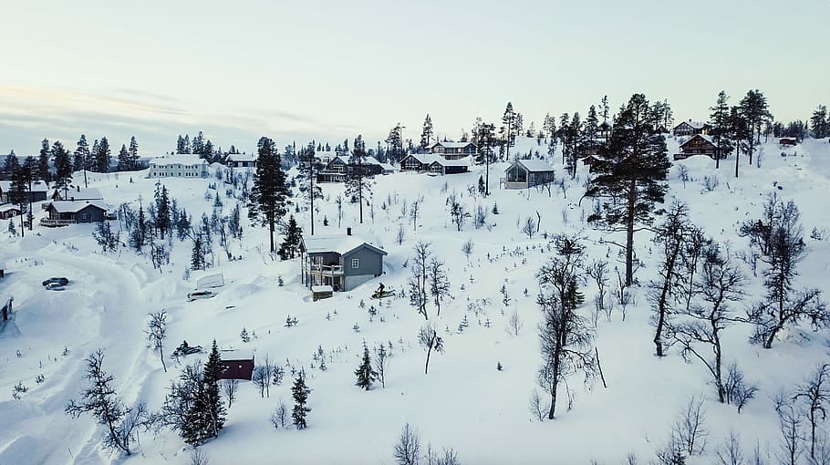 aerial shot of snow covered village, green trees on snow-capped ground HD wallpaper