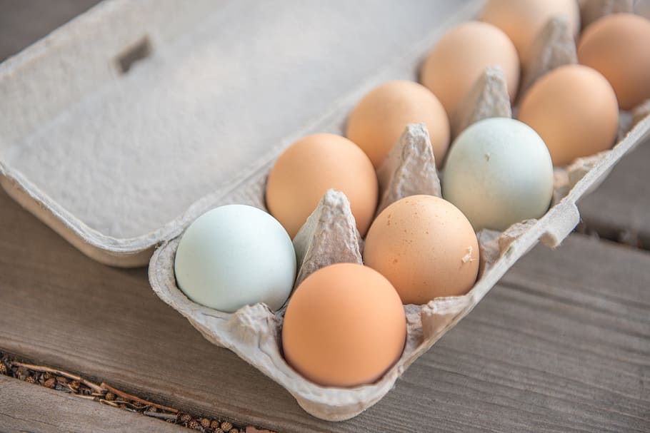 egg, dozens, cook, kitchen, food and drink, egg carton, freshness HD wallpaper
