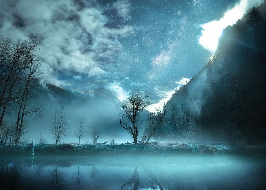 bare trees surrounded by fogs during daytime, mountains and trees HD wallpaper