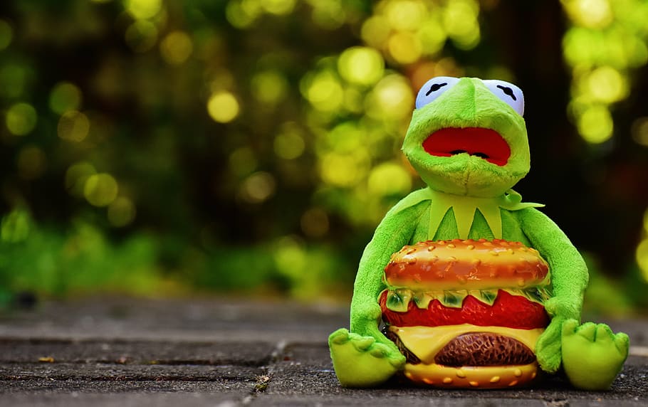 kermit, frog, cheeseburger, hamburger, funny, animal, stuffed animal, HD wallpaper