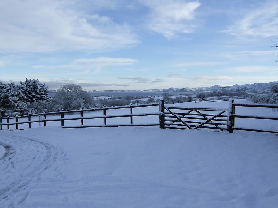 Snow, Fence, Field, Coastal, Winter, white, cold, nature, season, HD wallpaper