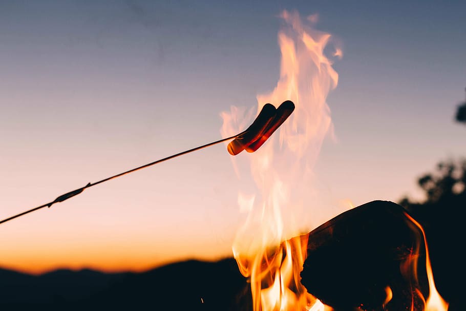 person grilling two sausages during daytime, photo, stick, fire HD wallpaper