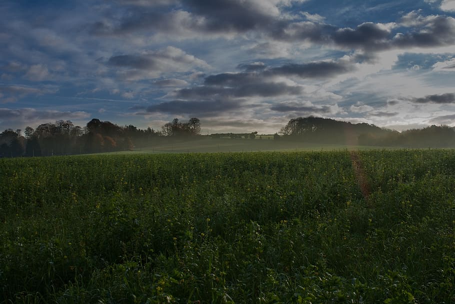 landscape, nature, fall, field, sky, cloud, atmosphere, plant HD wallpaper