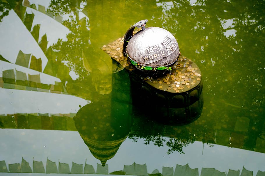 reflection, nature, peace, water, lake, animal, green color HD wallpaper