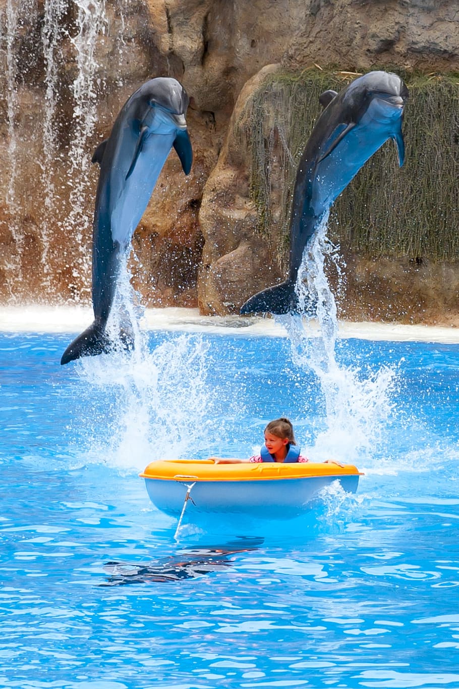Child, Dolphins, Boot, Water, Dressage, one person, people HD wallpaper