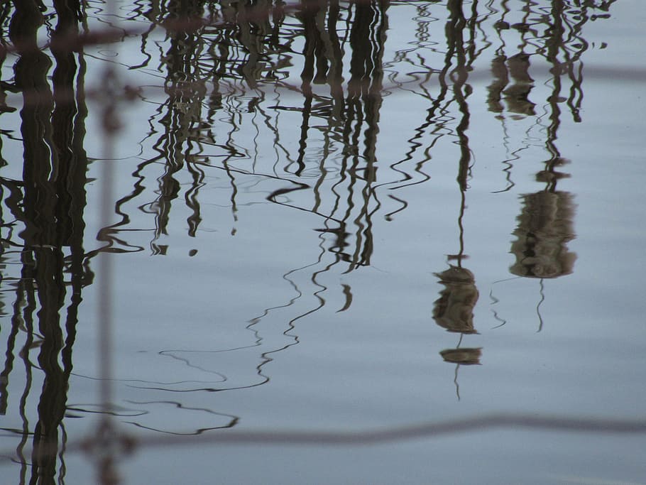 reflection, pond, forest, river, tranquil, idyllic, peaceful HD wallpaper