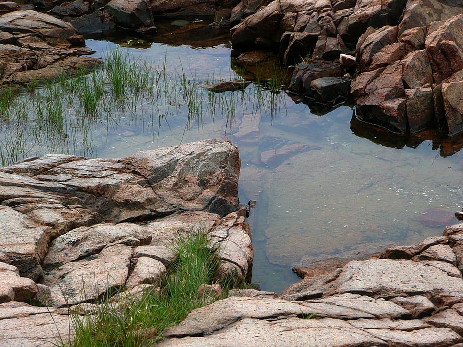 Pool, Water, Rocks, Nature, Weeds, vegetation, aquatic, rock - object HD wallpaper