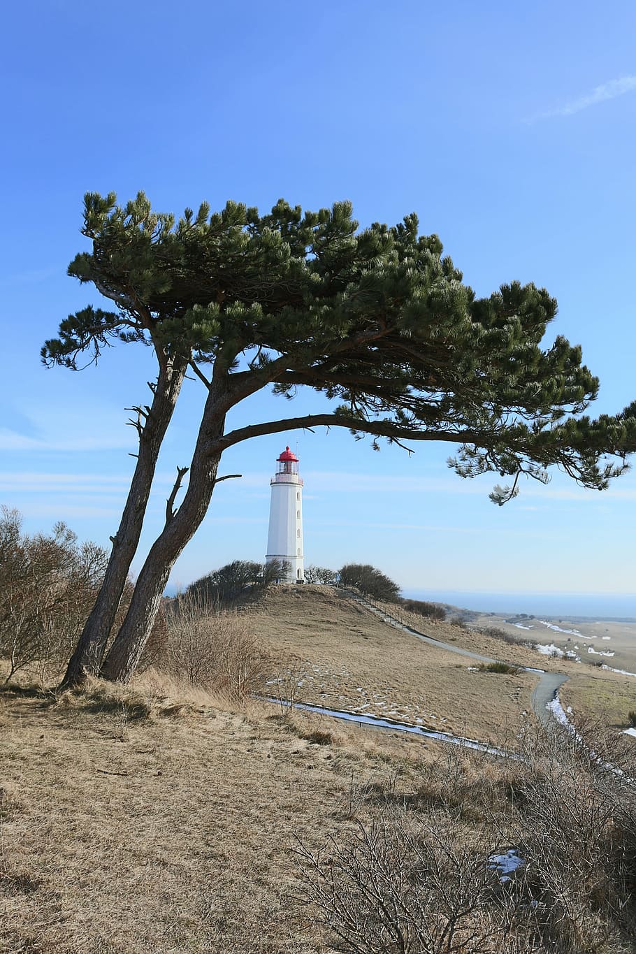 lighthouse, hiddensee, thornbush, plant, tree, sky, land, tower HD wallpaper