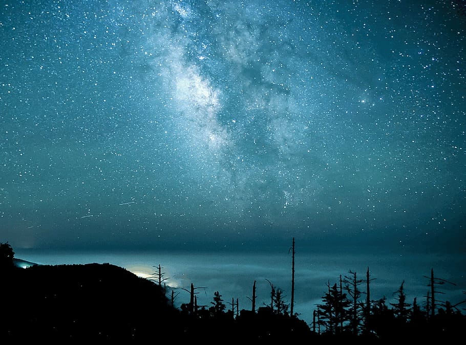 silhouette of trees, stars, landscape, night, space, starry HD wallpaper